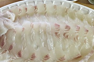 광어(넙치)회